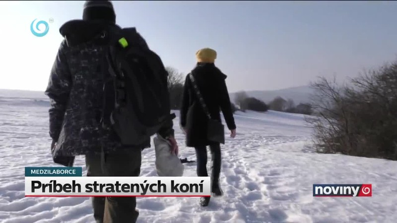 Príbeh stratených koní