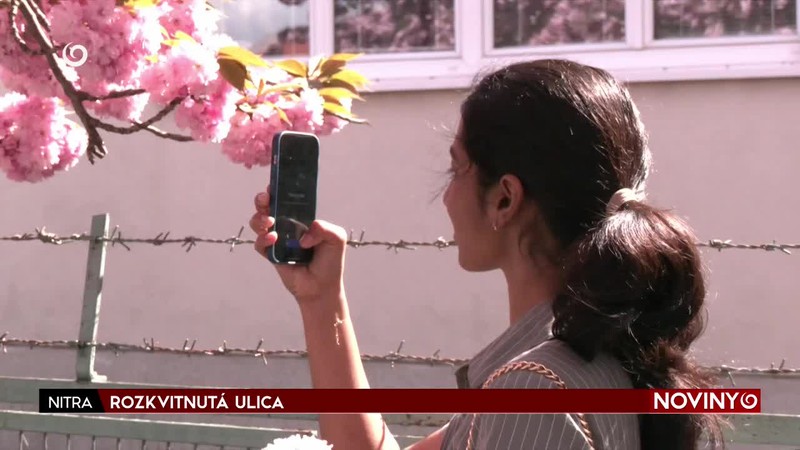 ROZKVITNUTÁ ULICA
