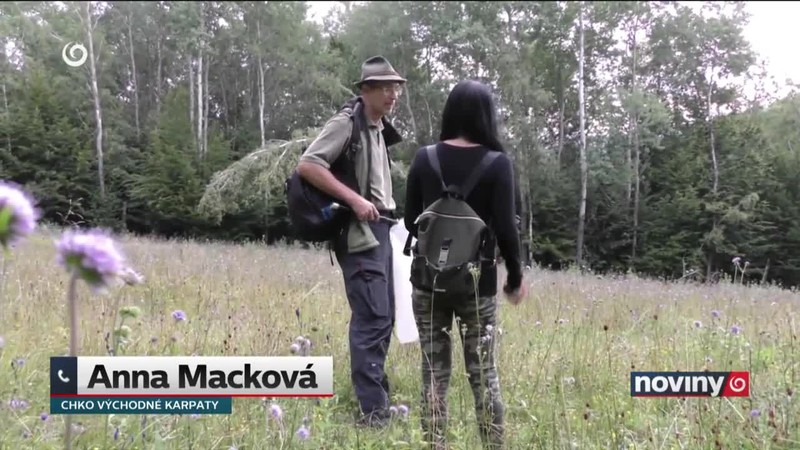 Vzácna fauna aj flóra