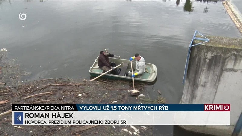VYLOVILI UŽ 1,5 TONY MŔTVYCH RÝB