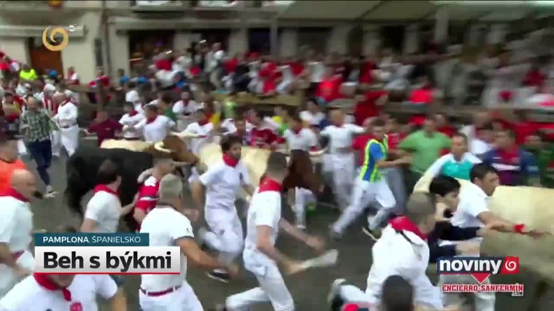 Beh s býkmi