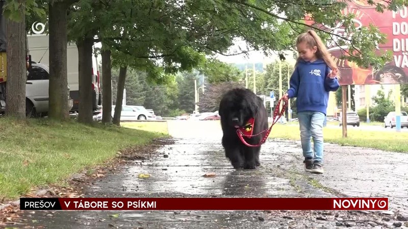 V TÁBORE SO PSÍKMI