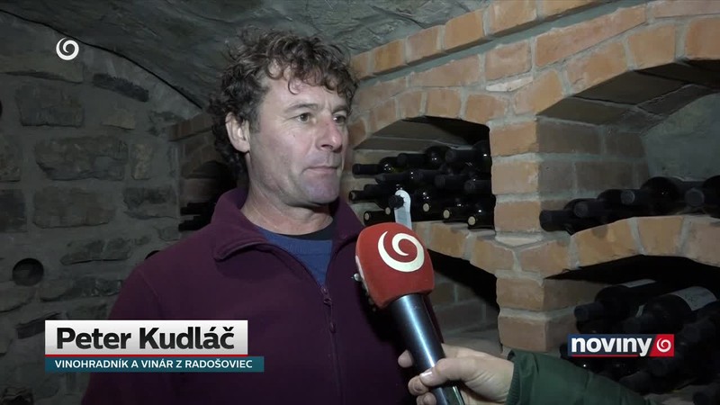 Mestský vinohrad
