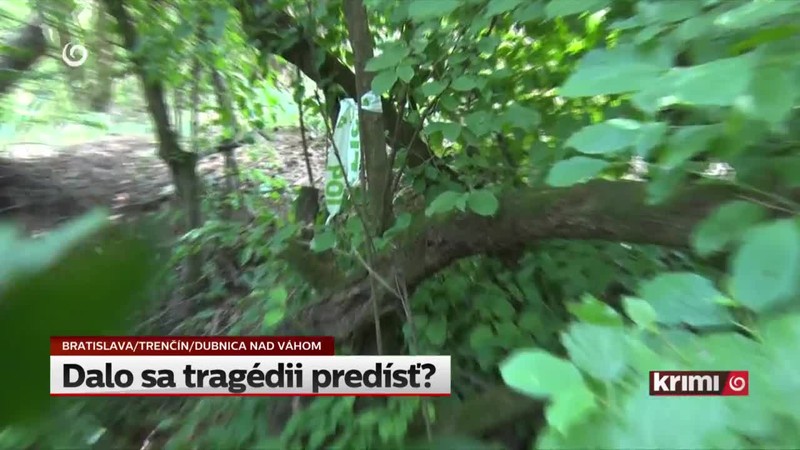Dalo sa tragédii predísť?