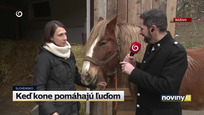 Keď kone pomáhajú ľuďom
