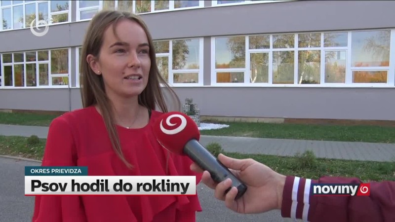 Psov hodil do rokliny