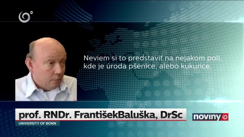 Rastliny si "povedia", čo potrebujú