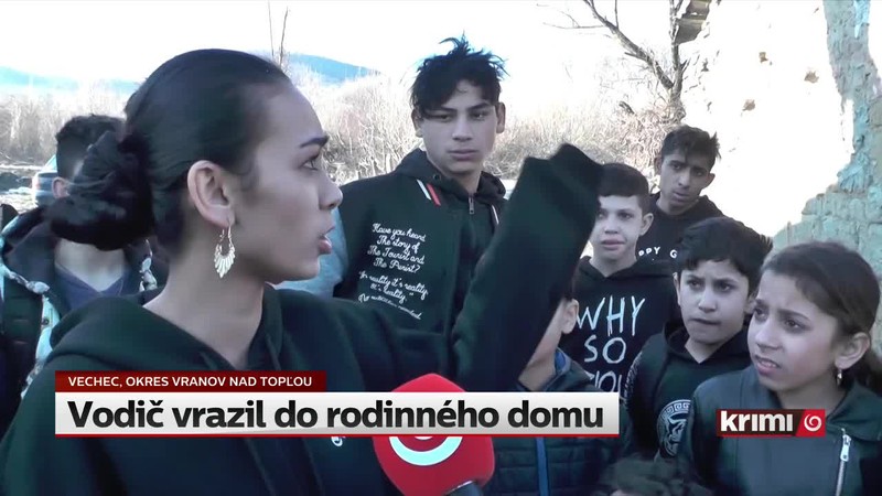 Vodič vrazil do rodinného domu