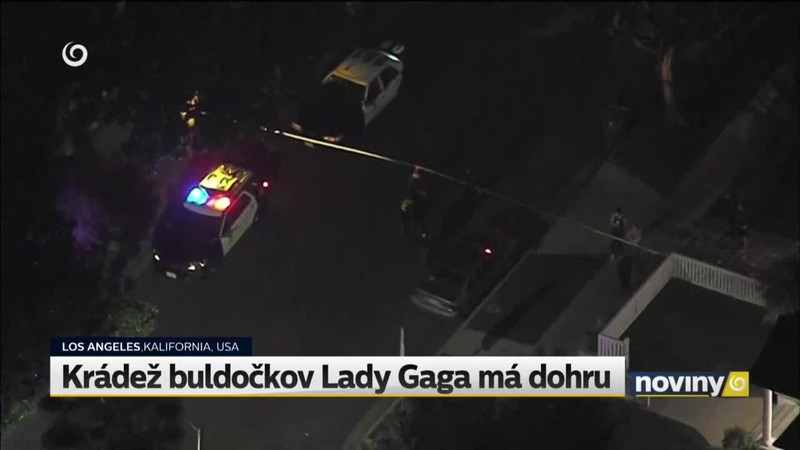 Krádež buldočkov Lady Gaga má dohru