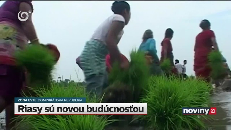 Riasy sú novou budúcnosťou