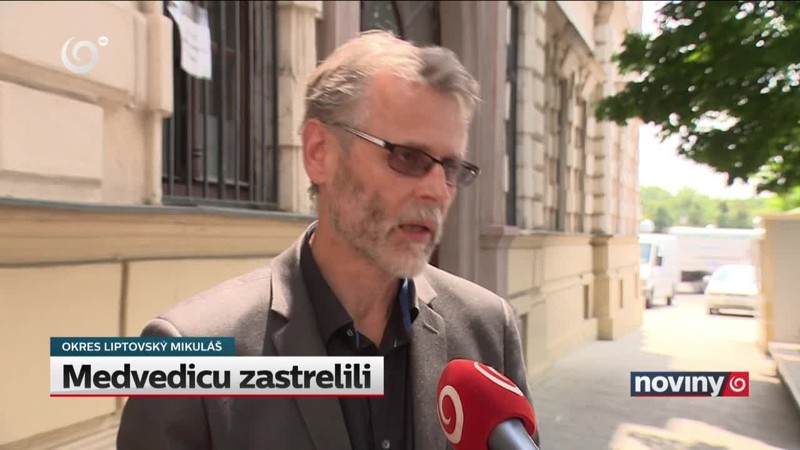 Medvedicu zastrelili