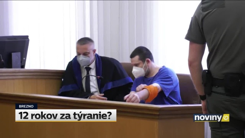12 rokov za týranie?