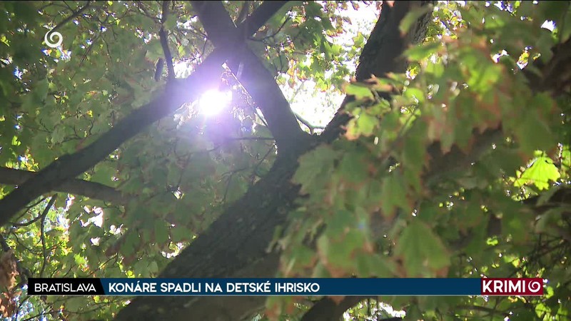 KONÁRE SPADLI NA DETSKÉ IHRISKO