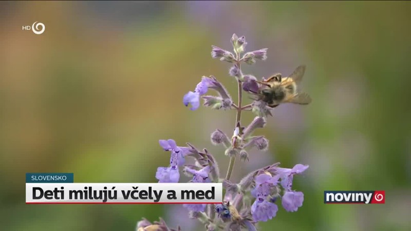 Deti milujú včely a med