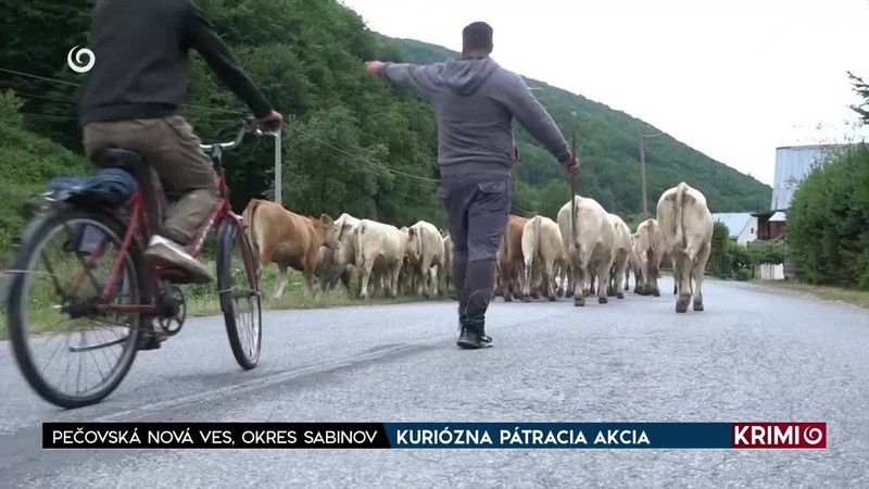 KURIÓZNA PÁTRACIA AKCIA