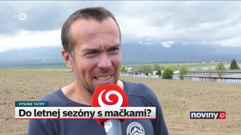 Do letnej sezóny s mačkami?