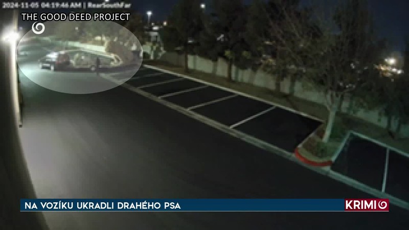 NA VOZÍKU UKRADLI DRAHÉHO PSA