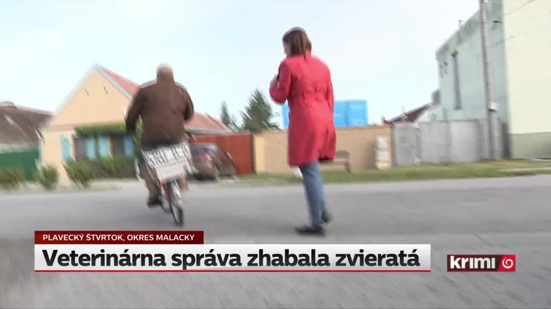 Veterinárna správa zhabala zvieratá