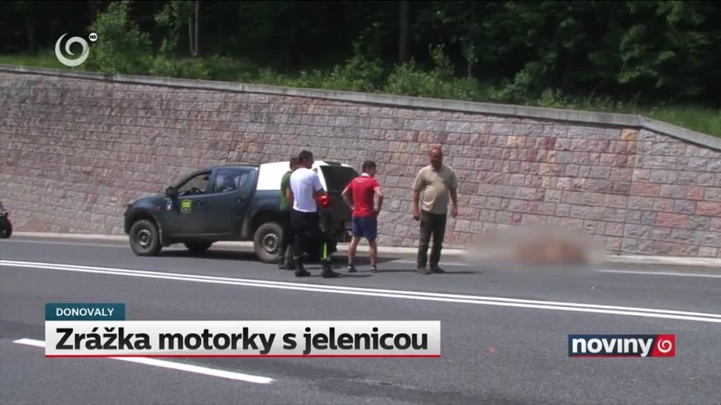 Zrážka motorky s jelenicou