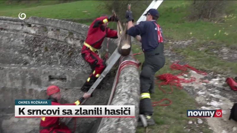 K srncovi sa zlanili hasiči