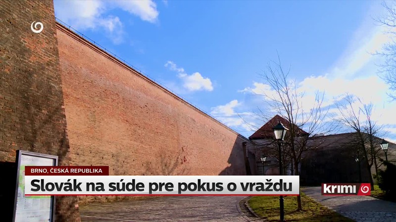 Slovák na súde pre pokus o vraždu