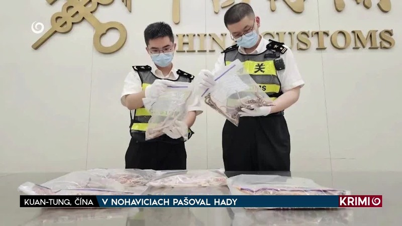 V NOHAVICIACH PAŠOVAL HADY
