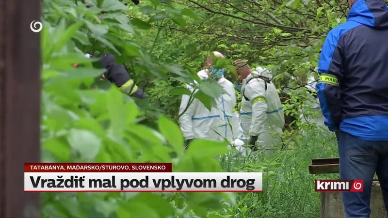 Vraždiť mal pod vplyvom drog