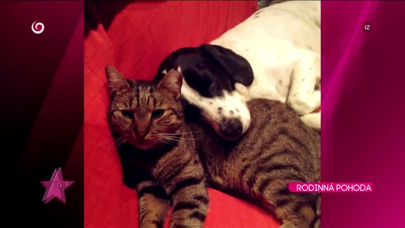 RODINNÁ POHODA Vacvalova