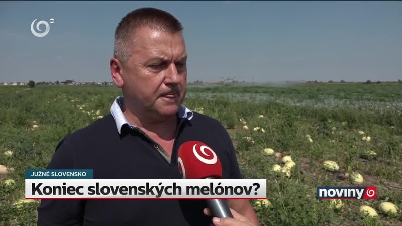 Koniec slovenských melónov?