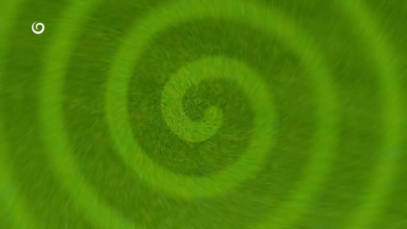 PENIAZE Z PLÁNU OBNOVY NEPRIŠLI