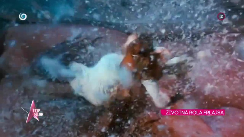 Životná rola Frlajsa