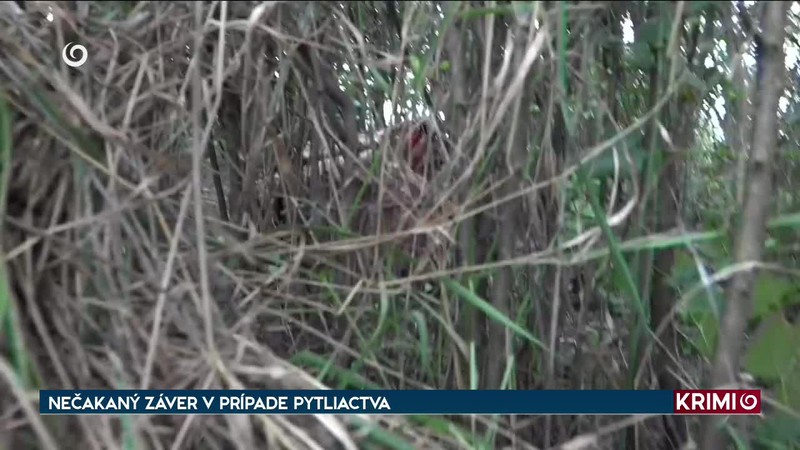 NEČAKANÝ ZÁVER V PRÍPADE PYTLIACTVA