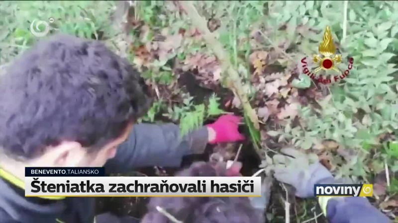 Šteniatka zachraňovali hasiči