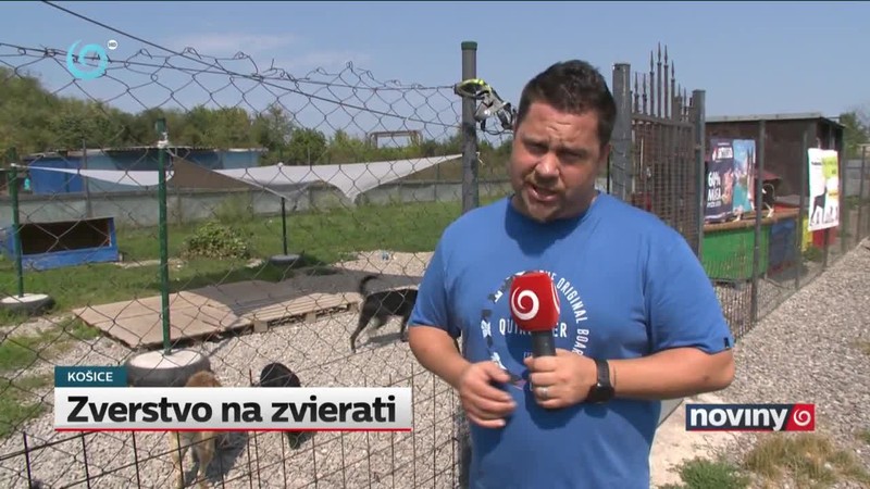 Zverstvo na zvierati