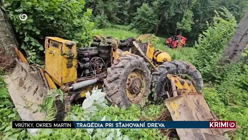 TRAGÉDIA PRI SŤAHOVANÍ DREVA