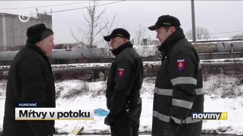 Mŕtvy v potoku