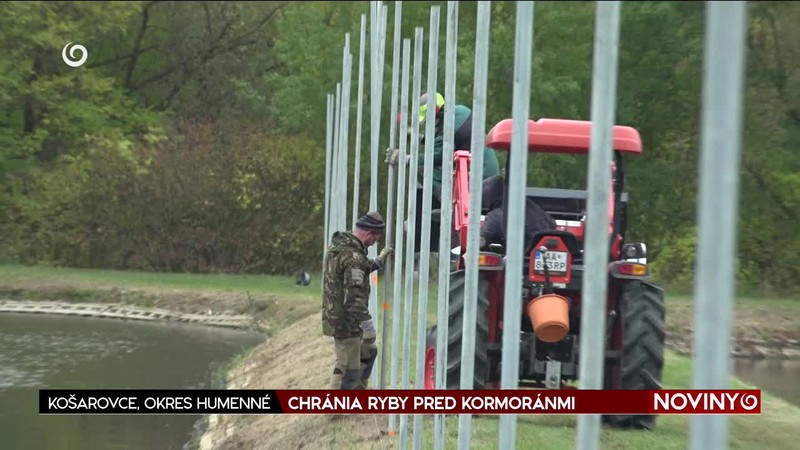 CHRÁNIA RYBY PRED KORMORÁNMI