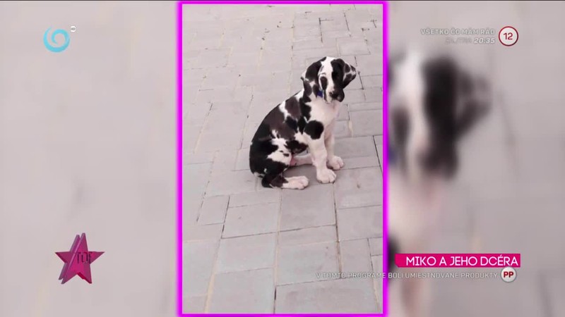 MIKO A JEHO DCÉRA