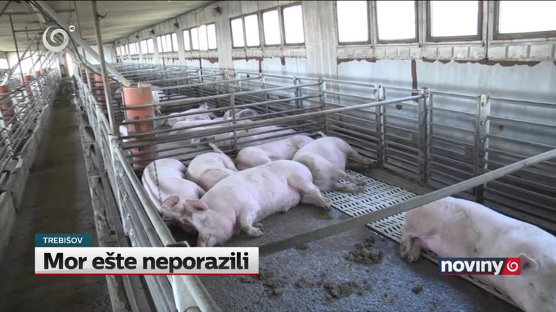 Mor ešte neporazili