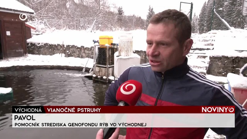 VIANOČNÉ PSTRUHY