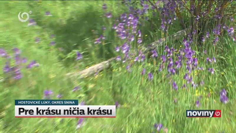 Pre krásu ničia krásu