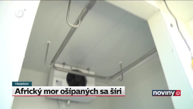 Africký mor ošípaných sa šíri