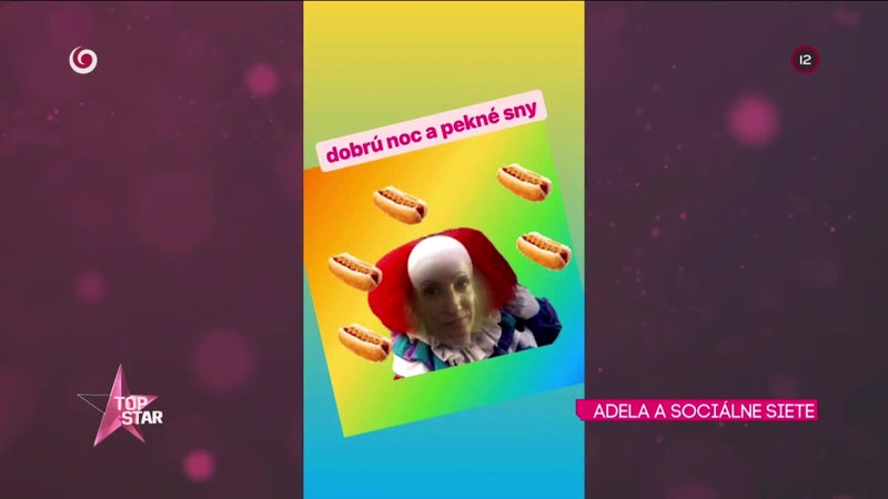 ADELA A SOCIÁLNE SIETE