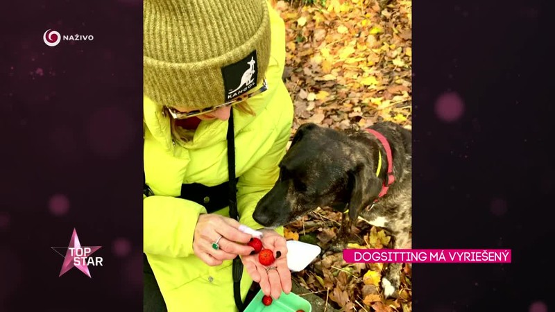 DOGSITTING MÁ VYRIEŠENÝ