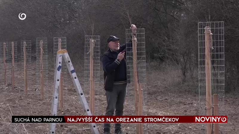 NAJVYŠŠÍ ČAS NA OREZANIE STROMČEKOV