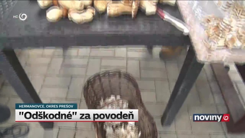 "Odškodné" za povodeň