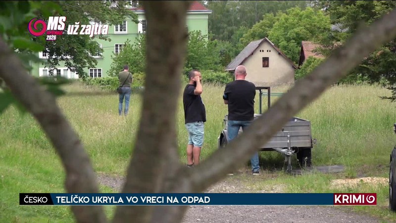 TELÍČKO UKRYLA VO VRECI NA ODPAD