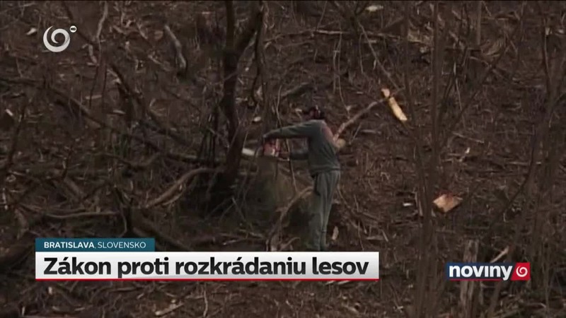 Zákon proti rozkrádaniu lesov