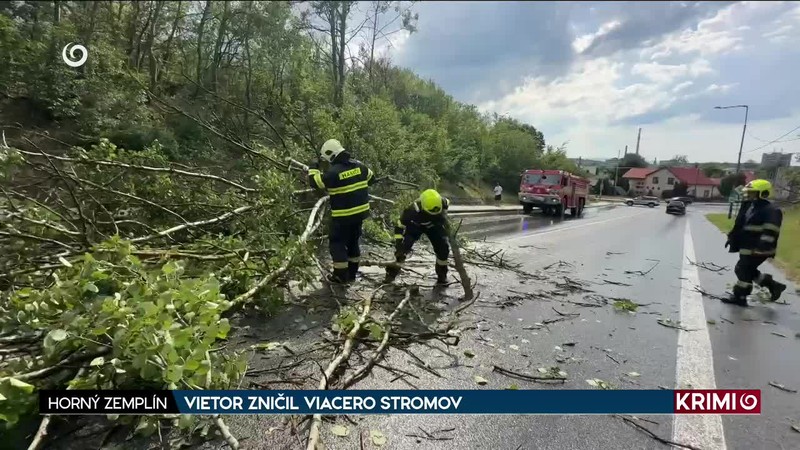 VIETOR ZNIČIL VIACERO STROMOV
