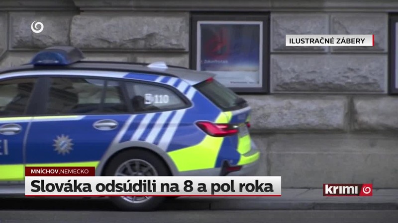 Slováka odsúdili na 8 a pol roka